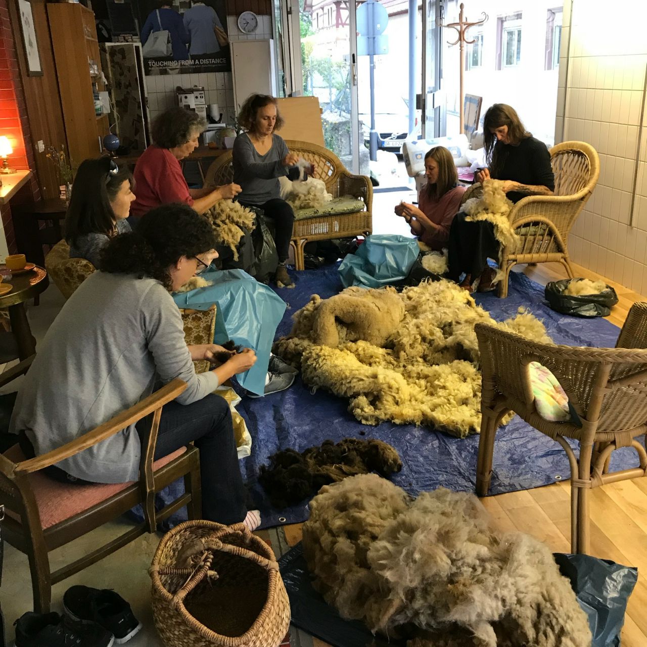 schafszupfer shirdak